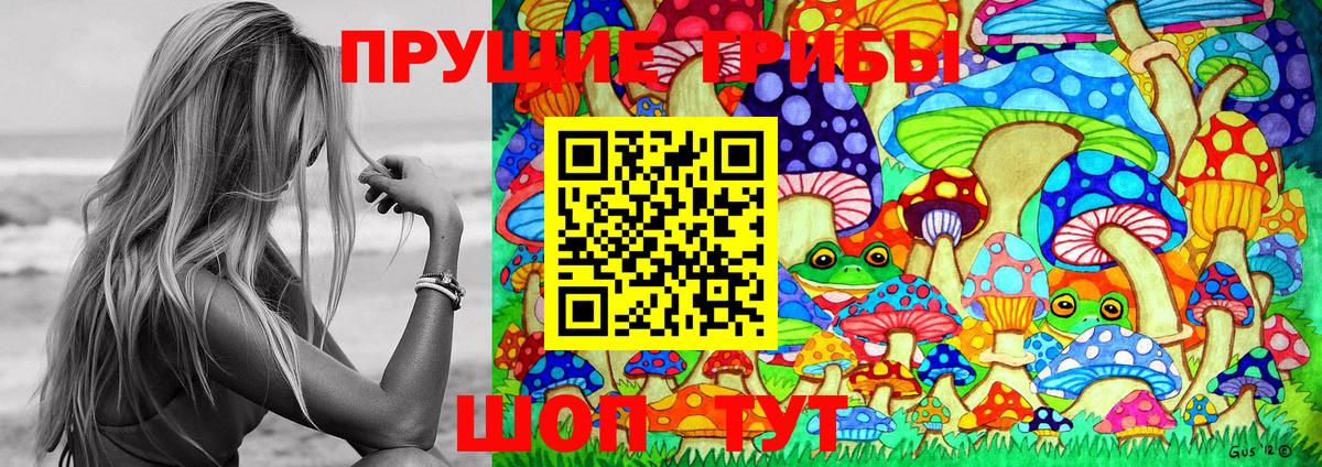 Армавир  Галлюциногенные грибы Cubensis  Вход с VPN 